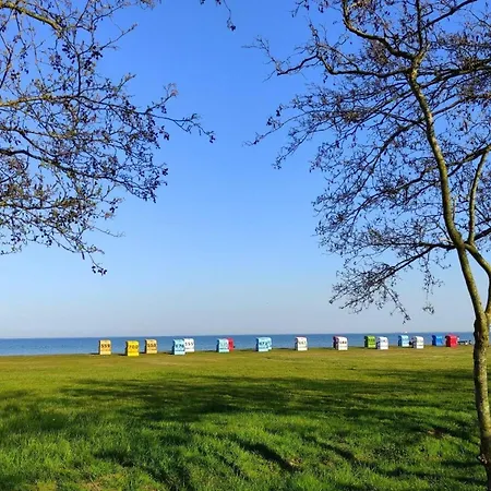 Starfish Modern Retreat Horumersiel