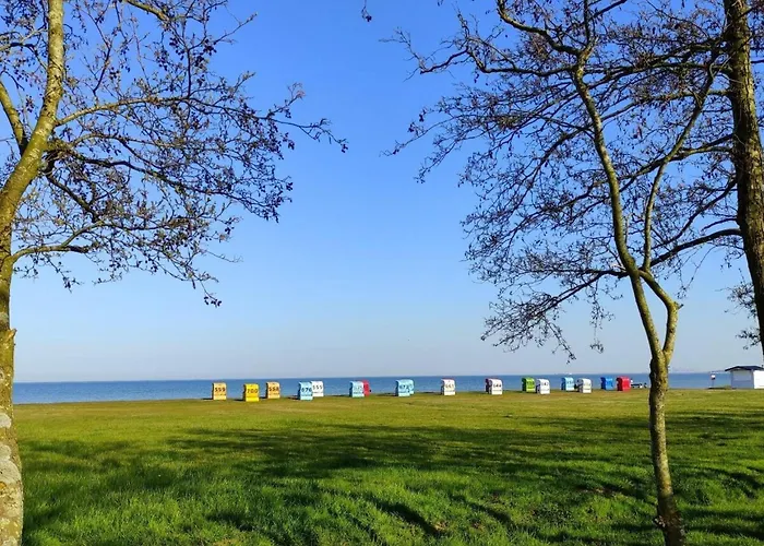 Starfish Modern Retreat 霍鲁梅尔希尔